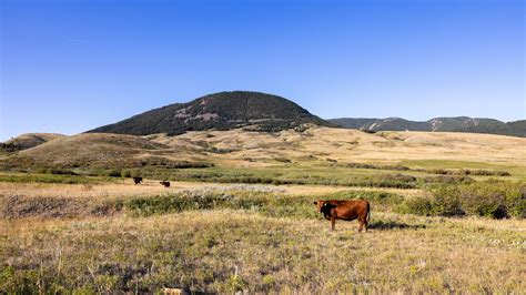 Box Elder Ranch Lewistown Mt 59457