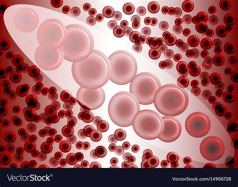 Red blood cells under magnification Royalty Free Vector