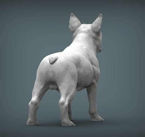 Boston Terrier 3d Print Model By Alexander3dart