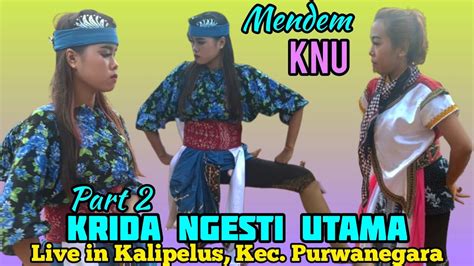 Lanjut Mendem Janturan Kuda Kepang KRIDA NGESTI UTAMA Ebeg Banyumasan