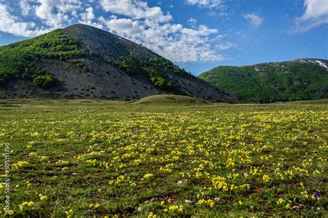 Foto De Piani Di Pezza Parco Naturale Regionale Sirente Velino Do