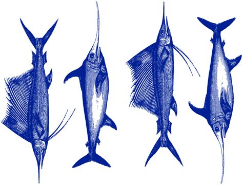 Sailfish Ceramic Ceramic Decals Food Safe — Ceramic Decals Glass