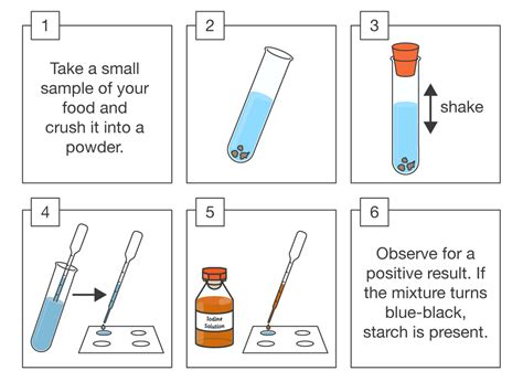 Scitime Starch Test Iodine Facebook Off Rbk Bm