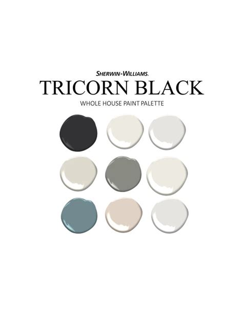 Tricorn Black Coordinating Colors Modern Interior Home Pre Packed Paint