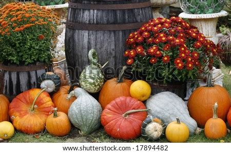 Autumn Scene With Mums, Pumpkins And Gourds Stock Photo 17894482 ...