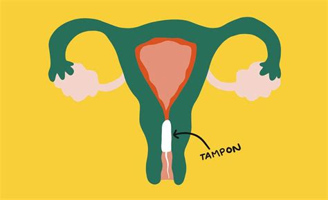 Diagram How To Insert A Tampon Tampon Instructions Diagram