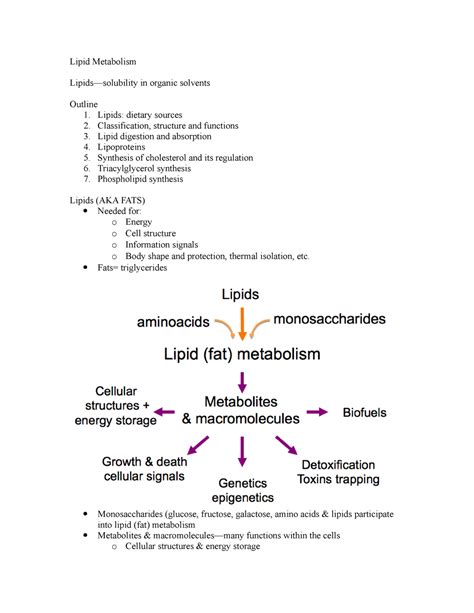 Lipid Metabolism 1 Detailed Notes Lipid Metabolism Lipids