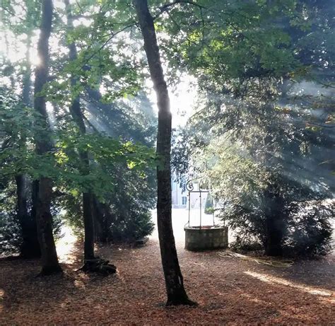 Orleans Loire Valley In Autumn The Best Spots To Admire The Colours