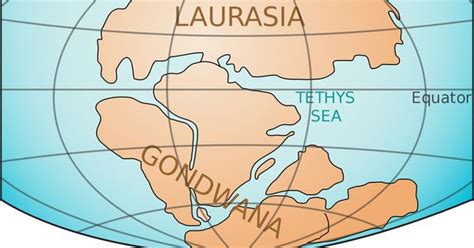 In The Mid Triassic Period The Super Continent Pangea Began To Split