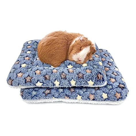 Discover The Best Pillows For Guinea Pigs A Comprehensive Guide