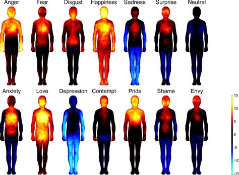 Bodily Maps Of Emotions Pnas