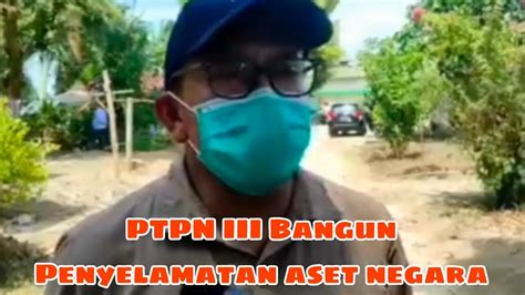 Ptpn Iii Penyelamatan Aset Negara Mstv Youtube