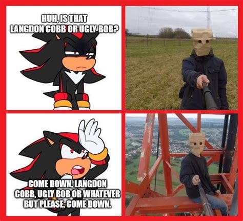 Shadow the Hedgehog, Meme : r/RandomPics_fromWorld