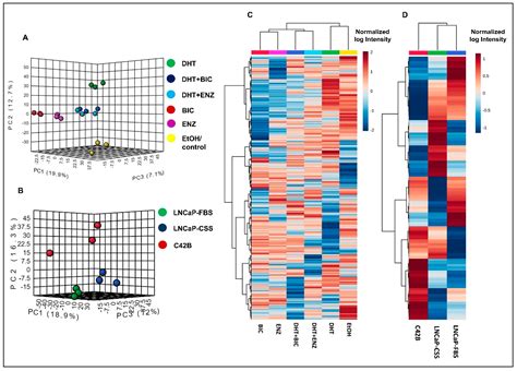 Cancers Free Full Text Swath Ms Based Proteomic Profiling Of