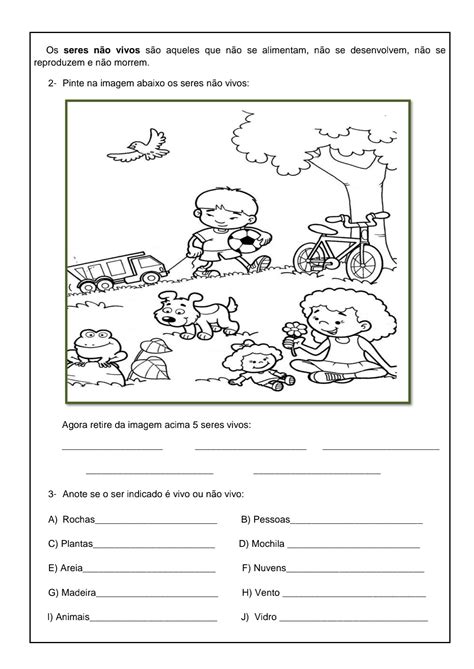 Ci Ncias Seres Vivos No Meio Ambiente Atividade De Ci Ncias Sobre