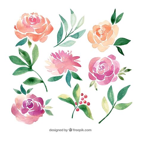 Colecci N De Flores En Estilo Acuarela Vector Gratis