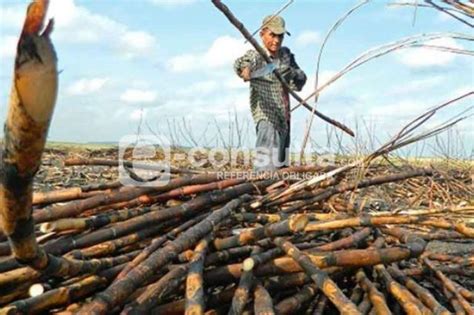 Arranca La Zafra En Atencingo Prev N Derrama Superior A Los Mil