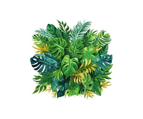 Desenho De Ilustra O Vetorial De Folhas Tropicais Vetor Premium