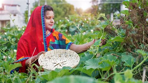 My Full Morning Village Routine 2019 Daily Indian Kitchen Routine