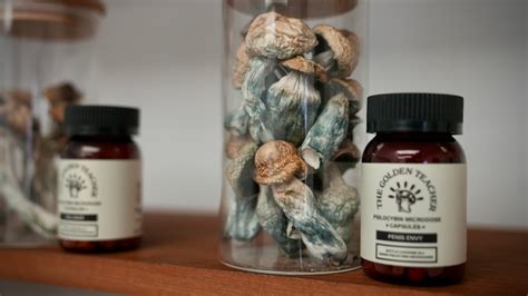 This Ottawa Store Is Selling Magic Mushrooms To Protest Unjust Laws