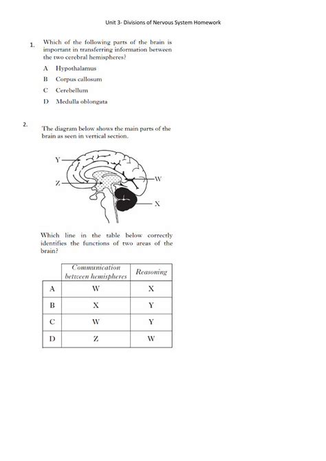 PDF Unit 3 Divisions Of Nervous System Homework The Image Below