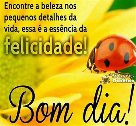 Pin By Lindas Mensagens Edificantes J On Mensagens De Bom Dia Boa Tarde