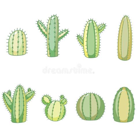 Line Art Style Cactus Or Cacti Illustration Collection For Logos And