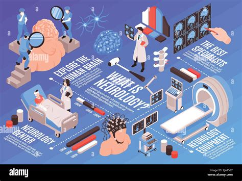 Neurologie Diagramme Isométrique Avec Centre Médical Fonctions Du