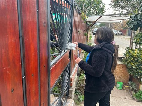 Andes On Line Cesfam De Panquehue Entrega A Domicilio Medicamentos A