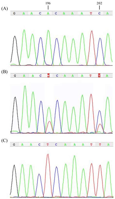 Chromatograms Of The Coi Gene Fragment Showing Two Heteroplasmic