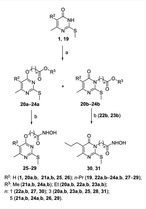 Scheme 2: Synthesis of compounds 20-31. Reagents and conditions: (a ...