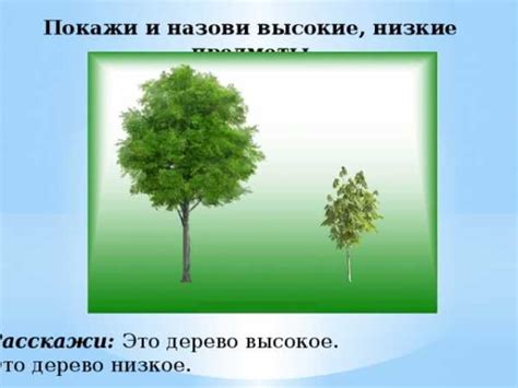 Презентация высокий низкий для детей Презентация Занятие по