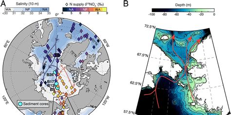 During The Previous Ice Age The Bering Land Bridge Formed Surprisingly