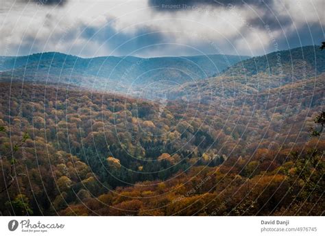 National Park Fruska Gora In Serbia Autumn A Royalty Free Stock