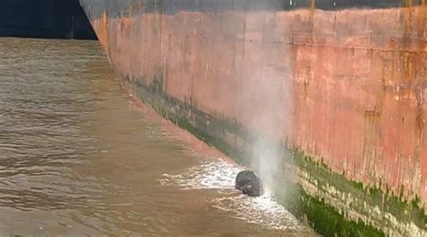 Neptune Robotic Hull CleaningRestoring Hulls To Their Original Glory