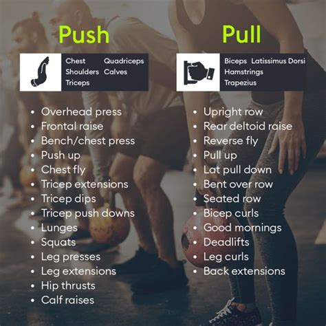 Best Push Pull Workout With PDF - JustFit