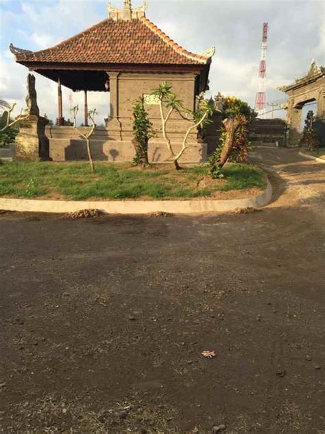 Dijual Rumah Style Bali Dikelilingi Sawah Dan View Gunung Lokasi Tbn