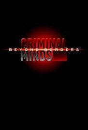 Criminal Minds Beyond Borders Season 2 DVD Set