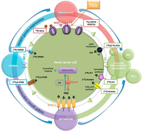 Tyrosine Kinase Inhibitors