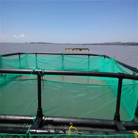 HDPE Cage Net For Fish Farming - Huaxing Nets Co Ltd