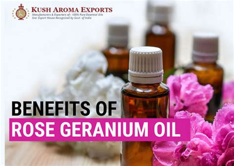 Geranium Essential Oil Benefits