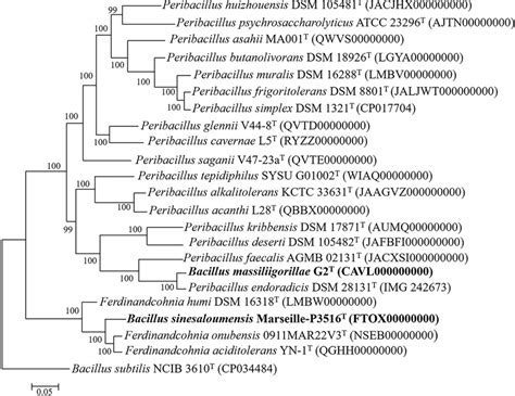 Phylogenomic Tree Based On 71 Bacterial Single Copy Genes Showing The