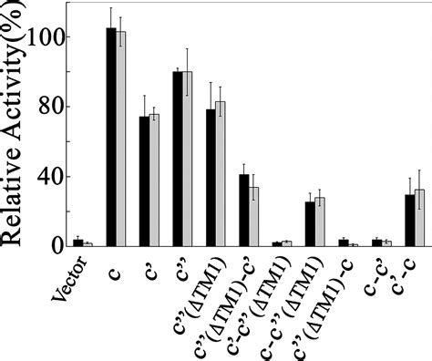 Arrangement Of Subunits In The Proteolipid Ring Of The V Atpase