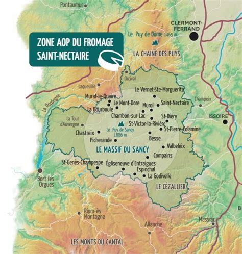 PDO Saint Nectaire Cheese Making Of St Nectaire Farm Cheese From Sancy