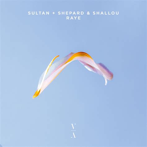 Raye Sultan Shepardshallou 单曲 网易云音乐