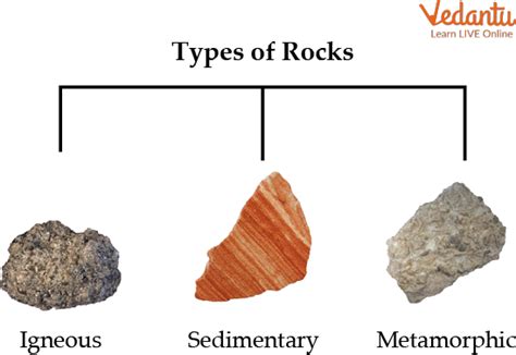 Facts About Sedimentary Rock Learn Important Terms and Concepts