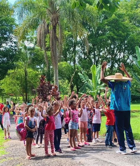 Passeio Escolar Sitiomontetabor Br