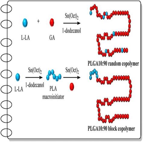 Synthesis Of Poly Lactide Co Glycolide Containing High Glycolide