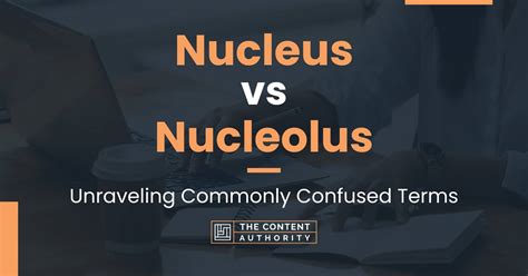 Nucleus Vs Nucleolus Unraveling Commonly Confused Terms