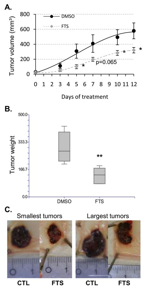 Salirasib Inhibits Tumour Growth In A Subcutaneous Xenograft Model